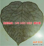 <b>公明鉬蝕刻技術(shù)</b>