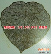 <b>臺州腐蝕加工_蝕刻加工</b>