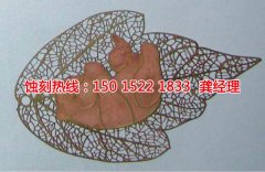 <b>鹽城腐蝕加工_過濾網(wǎng)蝕刻</b>