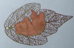 <b>饒平網孔蝕刻聯(lián)系電話</b>
